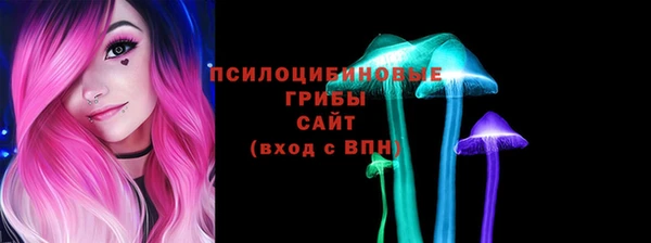 индика Навашино