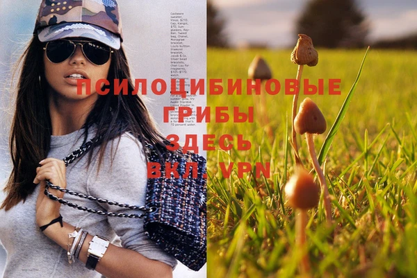 ECSTASY Надым